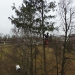 postupn� k�cen� smrku s volnou dopadovou plochou